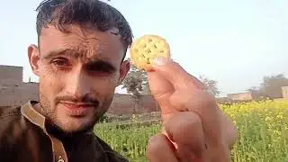 Ghar k Kam Bhai masruf hai AJ ur abba Jan bhi 