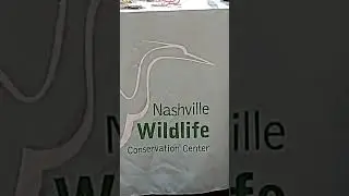 Wildlife Conservation display