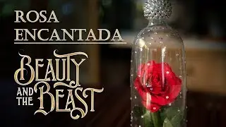 Rosa Encantada de Beauty and The Beast o La Bella y la Bestia
