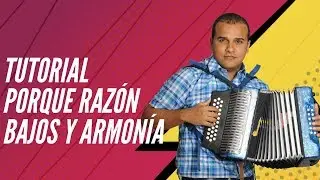 Por qué Razón | Bajos | Tutorial Acordeon Vallenato | Clases de Acordeón Nota A Nota