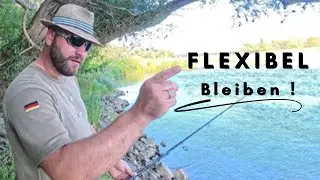 Raubfisch angeln an der Elbe