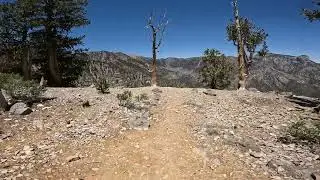 Griffith Peak - Mt. Charleston