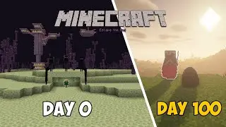 I Started Minecraft in the End...