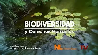 Biodiversidad y Derechos Humanos: Actividad minera, impacto en las comunidades ind&iacute;genas.