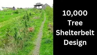Эффективное проектирование ветрозащитных и защитных полос