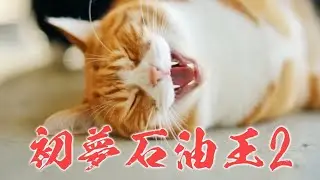 初夢石油王 完結篇