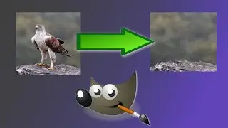 🖌 Como DUPLICAR o ELIMINAR cualquier Cosa - Herramienta CLONAR en GIMP