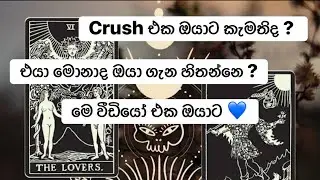 මෙ වීඩියෝ එක බලන්නම හිතෙනවා නම් ඔයාටම තමා රීඩින් එක 💙 #foryou #crush #love #fypシ #1million