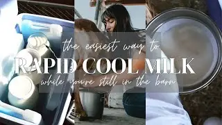 The Easiest Way to Rapid Cool Milk