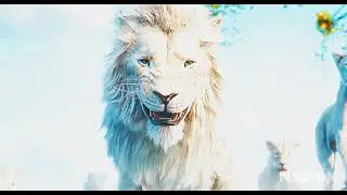 2K Quality Edit || Mufasa: The Lion King