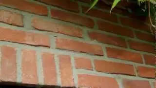 Scheur in muur en wat jij eraan kunt doen!