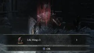 Dark Souls III - Hornet Ring + Life Ring+3 - LOCATION NG+2