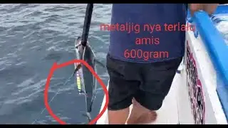 Rell Wiki violen 3000/rod JM ocean/jig 600gram jnk