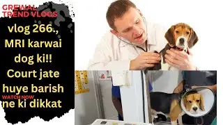 My 266 vlog, Dog ki MRI karwai!! Barish me  पहड़ी से मिट्टी गिरने लग गई  sara traffic zam!