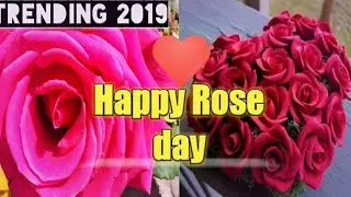 2019 Rose day😍/happy Rose Day wishes/WhatsApp status for rose Day🌹 roseday special