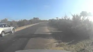 Kruger idiots