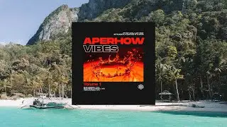 TROPICAL SOUL [ Chill ~ Hip hop ~ Lo-fi ~ West ] Beat by Dj RHOW