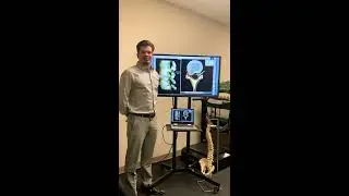 Disc Herniation 101
