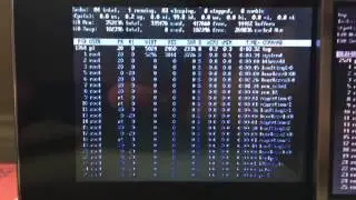 Terminal text compare