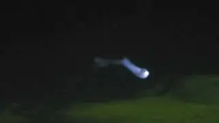 Amazing Rocket Launch Florida 🚀🙏💚👌👍💜