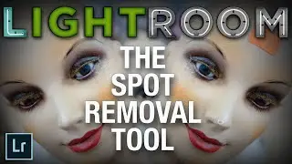 How to Use The Spot Removal Tool in Lightroom Classic