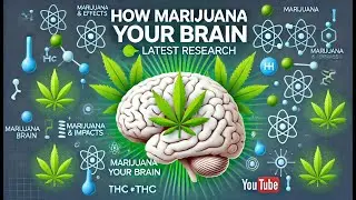 How Marijuana Impacts Your Brain 🧠 | Latest Research #MarijuanaEffects #THC
