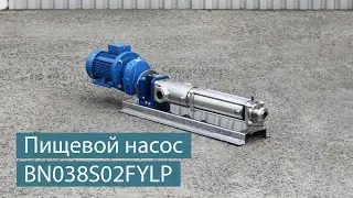 Пищевой насос SOLTEC &reg; BN038S02FYLP для перекачивания сахарно пектинового раствора
