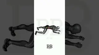 Spider Plank (ABS & HIPS): Ultimate Core Stability & Mobility! 💪