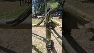 Pancilan vs mapurog horse fight