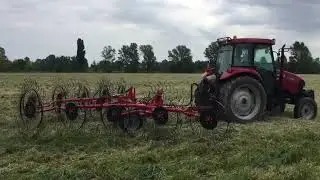 RANGHINATORE STELLARE AGRIPAN