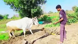 2ed block 🫶❤️#desiviilagelifetstyle #desi #viral #viralvideo #vlog 