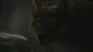 Prehistoric Planet: Ice Age [2025] - Canis lupus pambasileus Screen Time
