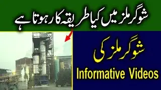Inside The Sugar Mills | Process of Sugar Cane | Full Factory Tour #sugarcane #sugarmill