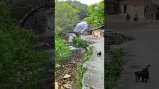 Beautiful Waterfall Views | Nature's Masterpiece