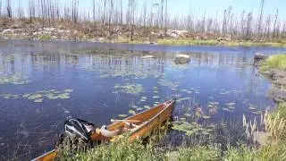 Pagami Creek Fire Devastation from Perent River, Four Years Later