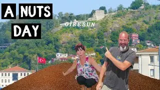 Turkish VAN LIFE adventures - A very NUTS day in GIRESUN [S6-E54]