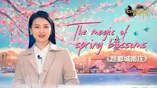 Mastering Chinese Poetry: Written in A Village South of the Capital
