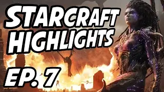 StarCraft Daily Highlights | Ep. 7 | dankshrine, GauntletSC2, BASETRADETV, Avilo, Supernovamaniac