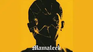 Mamaleek - Where is the Friend&rsquo;s House?