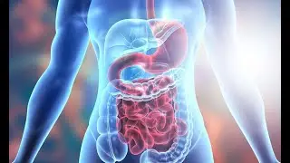 JP+ Supermicrobiome Benefits Gut Health
