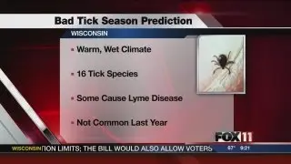 9PM SUN BAD TICK SEASON