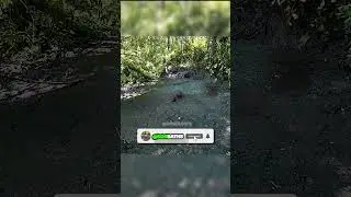BOG JUMPING 💀⚠️💚 #Quicksand #Mud #Swamp #Bog #BogJumping #BogTok #BogGhoul #Challenge #Extreme
