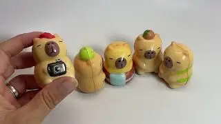 Tiny capybara slow rise squishies