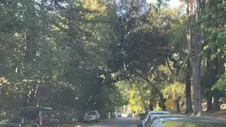 Mysteries at Griffith Park