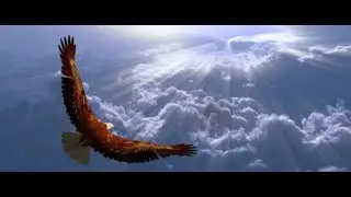 Freedom of an Eagle - The Callahans