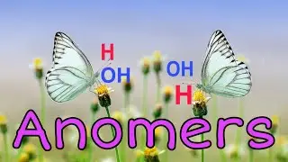 What Are Anomers ?? ll Formation of Alpha and Beta anomers
