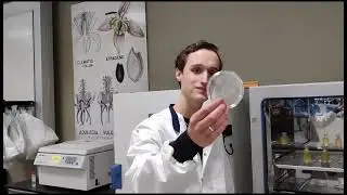Vlog BSc Biologie