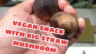 Vegan Snack with Straw Mushroom