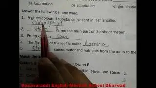 3rd std/Science / L- 3 Parts of a Plant Exercise part /BASAVARADDI ENGLISH MEDIUM SCHOOL DHARWAD