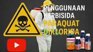 Mengenal Herbisida Parakuat: Herbisida Kontroversial di Dunia Pertanian.